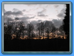IMG_3215