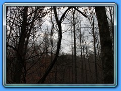 IMG_3216