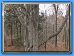 IMG_3217