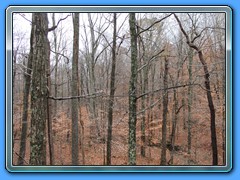 IMG_3220