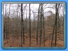 IMG_3221
