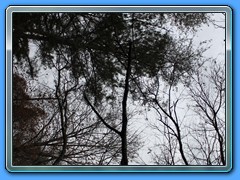 IMG_3224