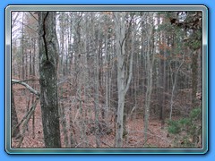IMG_3227