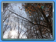 IMG_3233