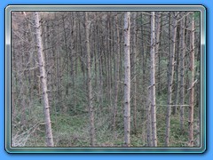 IMG_3236