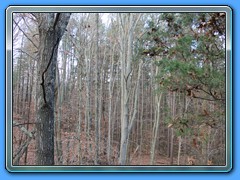 IMG_3238