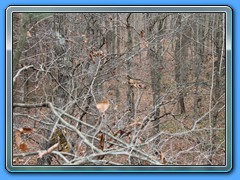 IMG_3239