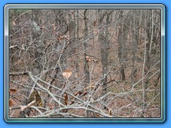 IMG_3240