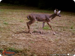 WGI_0102