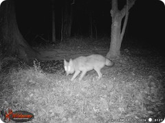WGI_0127