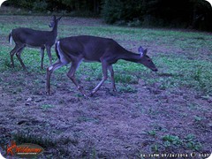 WGI_0137