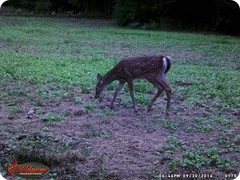 WGI_0175