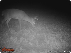 WGI_0265