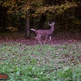 1WGI_0024