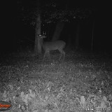 1WGI_0028