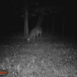 1WGI_0037