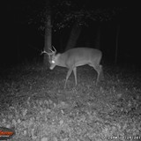 1WGI_0064