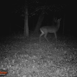 1WGI_0072