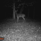 1WGI_0082