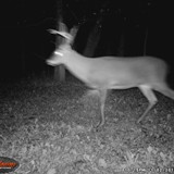 1WGI_0132