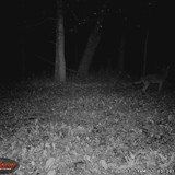 1WGI_0140