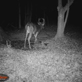 BLWGI_0032