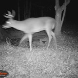 BLWGI_0042