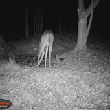 BLWGI_0092