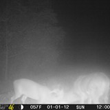 EF01010231