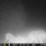 EF01010232