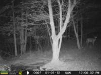 photo102_small.jpg