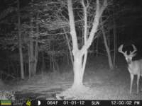 photo108_small.jpg