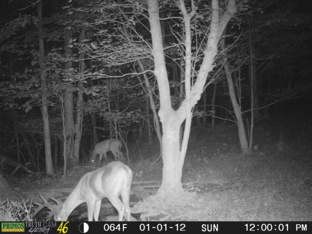 photo111.jpg