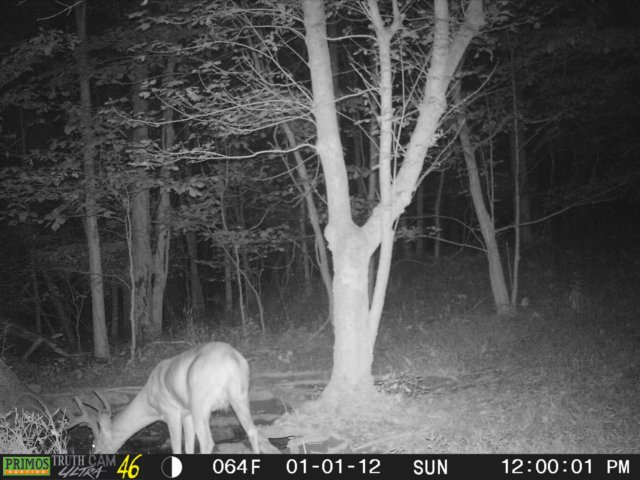 photo117.jpg