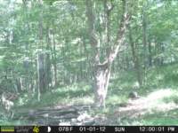 photo131_small.jpg