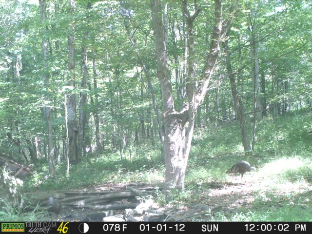 photo132.jpg