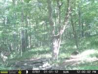 photo132_small.jpg