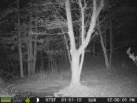 photo140_small.jpg