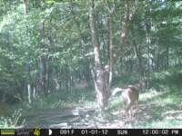 photo146_small.jpg