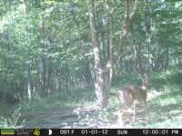 photo147_small.jpg