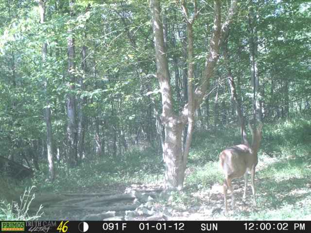 photo148.jpg