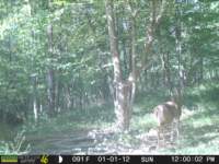photo148_small.jpg