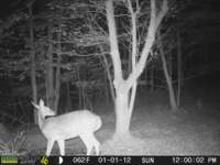 photo151_small.jpg
