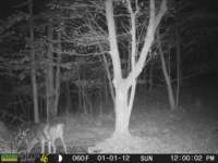 photo161_small.jpg