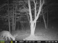 photo163_small.jpg