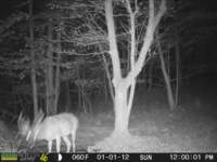 photo166_small.jpg
