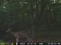 photo168_small.jpg