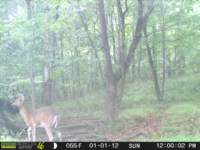 photo170_small.jpg