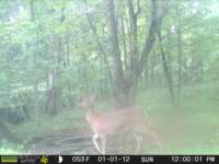 photo171_small.jpg