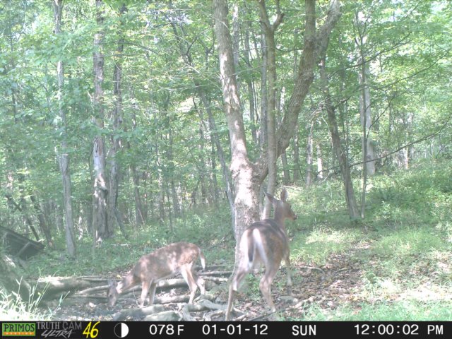 photo174.jpg